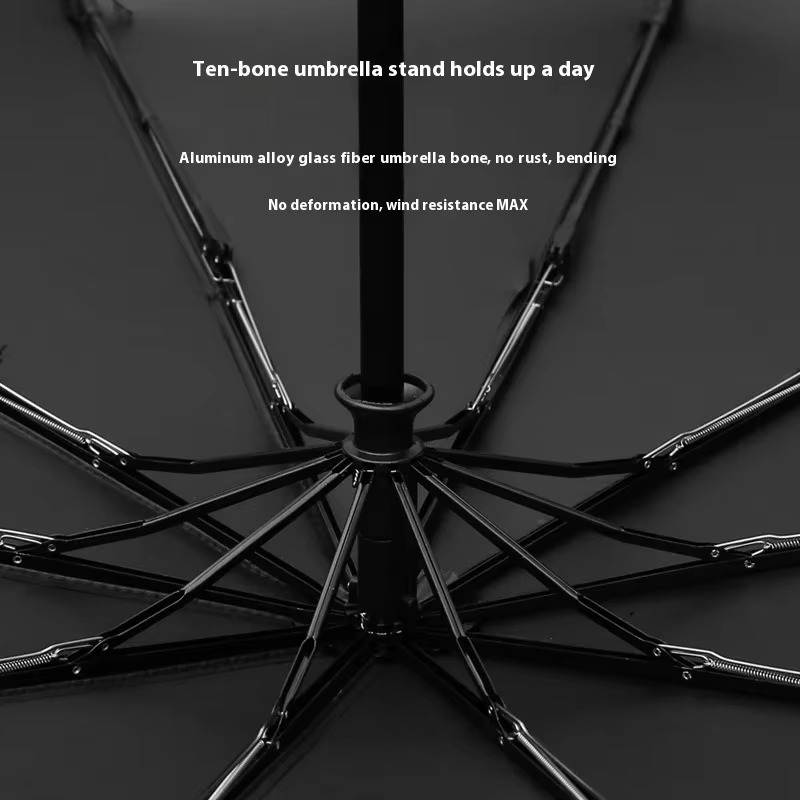 BMW Umbrella Auto Open 16 Ribs (Any Colour)