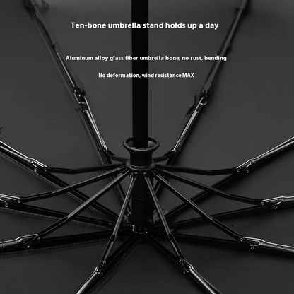 BMW Umbrella Auto Open 16 Ribs (Any Colour)